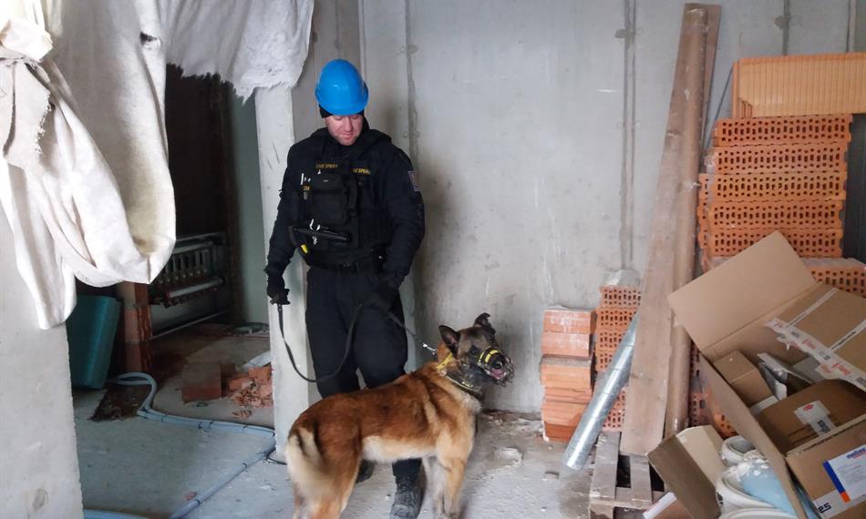 2019-2-25-1142NELEGÁL KOŠÍŘE 6.jpg